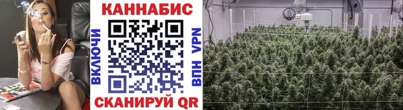 Каннабис VHQ  Алейск 